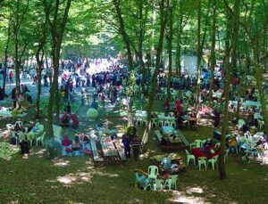 Bağcılarlılar için 300 dönümlük piknik alanı kiralandı