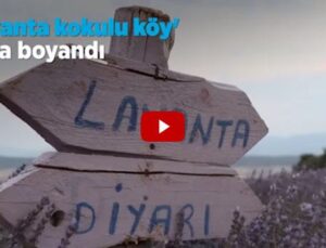 Isparta Kuyucak Köyü lavanta tarlalarına can veriyor