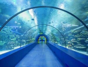 Tünel Akvaryum için TOKİ’den yer tahsisi yapıldı