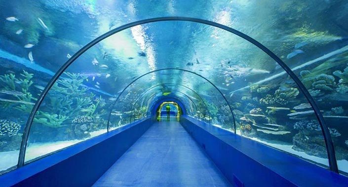 Tünel Akvaryum için TOKİ’den yer tahsisi yapıldı