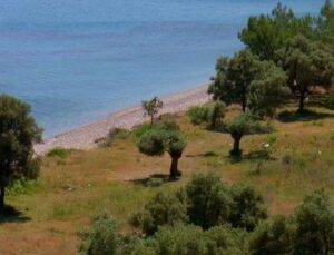 Çökertme Koyu imara açılmayacak