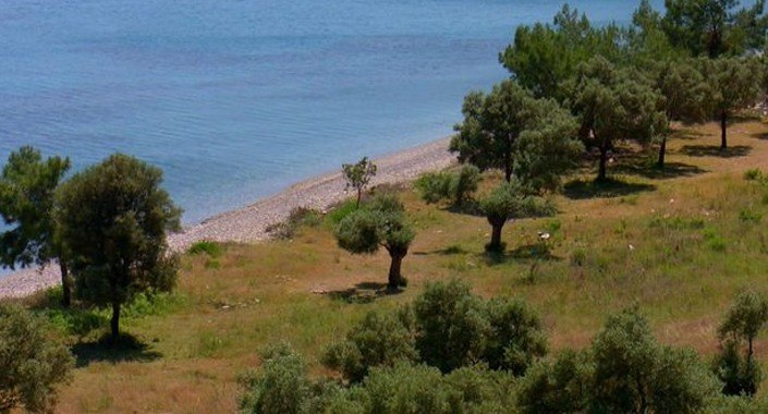 Çökertme Koyu imara açılmayacak