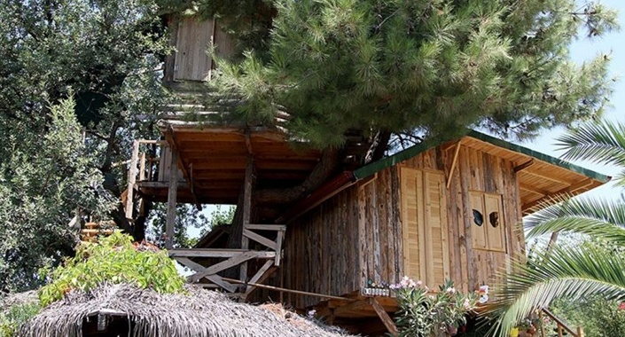 Kesmeye kıyamadığı ağaçların arasına ev inşa etti