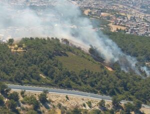 İzmir’de yüzlerce hektarlık alan kül oldu