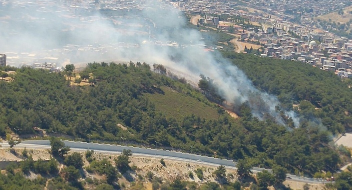 İzmir’de yüzlerce hektarlık alan kül oldu