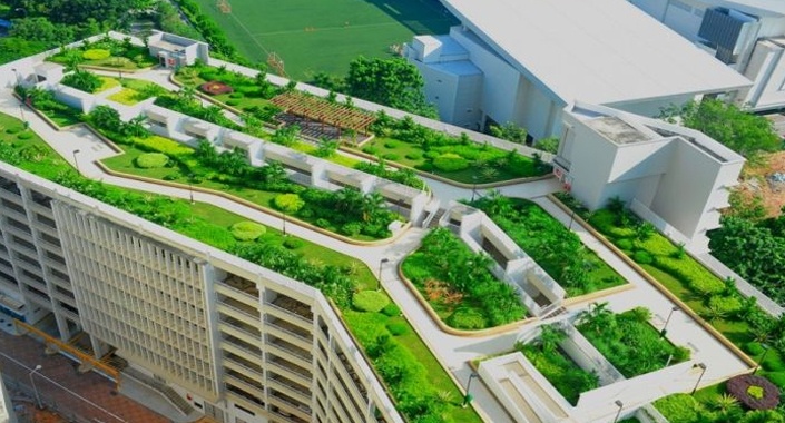 Yeşil çatılar, şehirlerde sel riskini azaltıyor