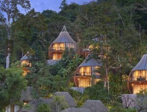 Dünyanın en muhteşem 10 ağaç oteli