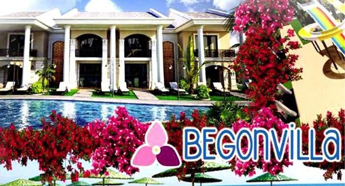 Begonvilla Mersin’de fiyatlar 250 bin TL’den başlıyor
