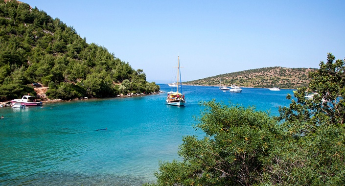 Suudi Prens Cennet Koyu’na talip oldu