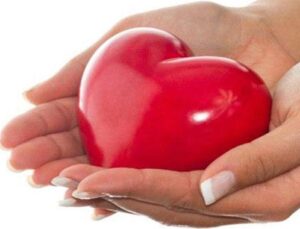 Kızılay Amasya’ya kan toplama merkezi yaptıracak