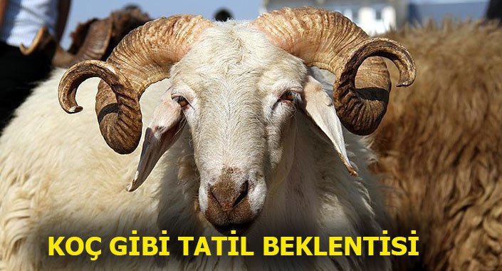 Kurban bayramında 2,5 gün izinle 10 gün tatil mi?