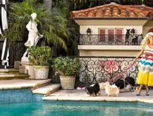 Paris Hilton köpeklerine 350 bin dolarlık villa yaptırdı