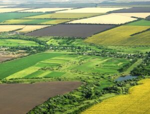 Türkiye 10 yılda Belçika büyüklüğünde tarım arazisi kaybetti