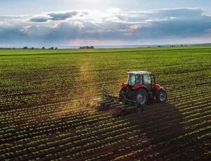 Tarım arazileri alternatif yatırım aracına dönüşüyor