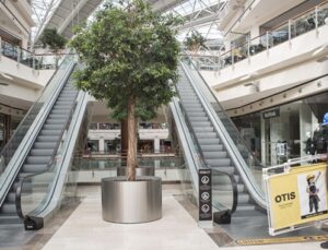 Yeni Avrupa Standartları asansörde güvenliği artırıyor