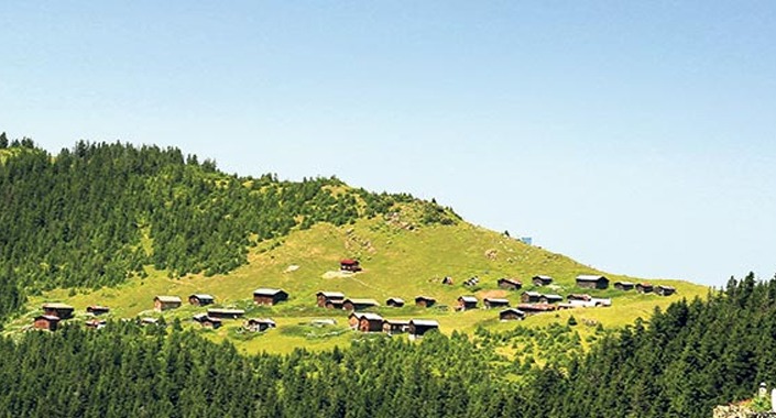 Rize’deki Sal Yaylası’nda televizyon ve çanak anten yasak