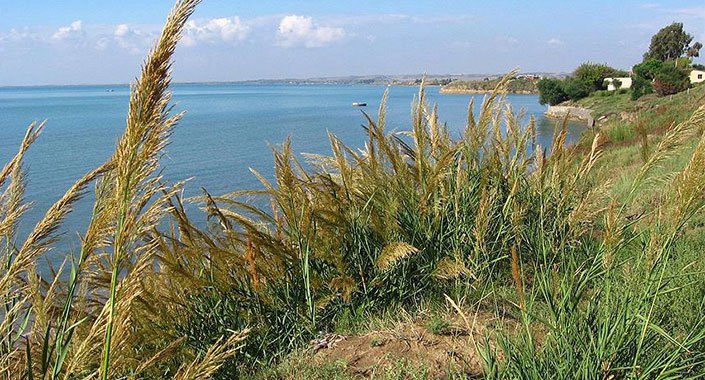 Hazine arazilerinden 82 milyon metrekare yatırıma dönüştü