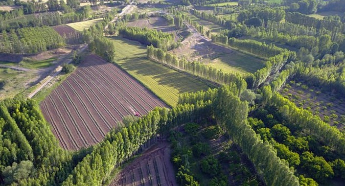İstanbul Defterdarlığı’ndan 24.3 milyon TL’ye satılık 2 arsa