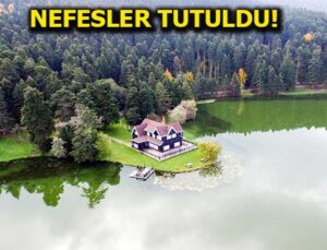 Gölcük Tabiat Parkı bugün ihaleye çıkıyor