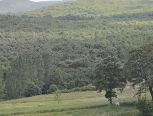 İzmir’de 49 yıllığına 7 arsa ve tarla için son gün 8 Ocak