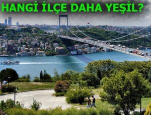 İstanbul’da kişi başına 7.57 metrekare yeşil alan düşüyor