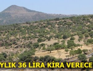 Hazine arazilerinde ilk kiralama gerçekleşti