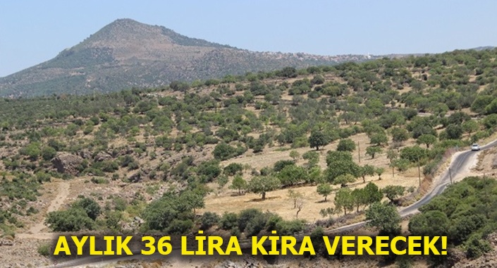 Hazine arazilerinde ilk kiralama gerçekleşti