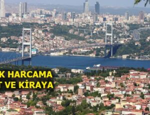 TÜİK hane halkı tüketim harcaması istatistiklerini yayımladı