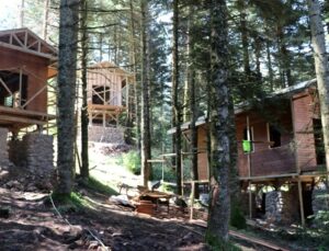 Gölcük Tabiat Parkı’na orman köşkleri yapılıyor