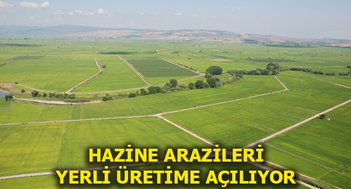 Yıllık 100 liraya kiralık devlet arazisi