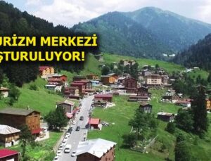 Rize’de 11 Ayder Yaylası daha bulundu