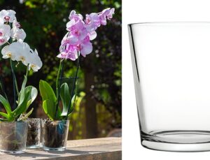 Paşabahçe’den orkideler için cam saksı