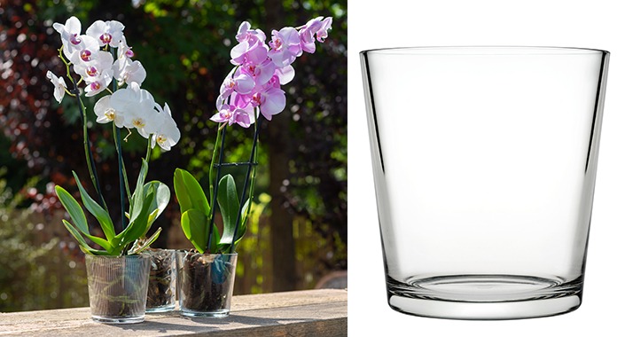 Paşabahçe’den orkideler için cam saksı