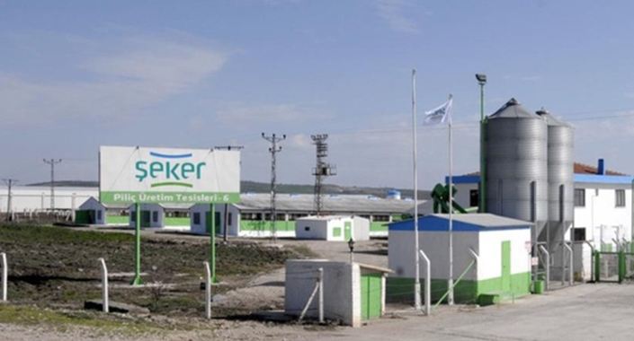 Şeker Piliç’in kesimhane ve idare binası bankanın oldu