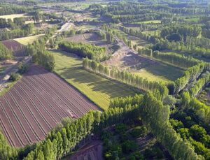 2B arazilerine başvuru için son 3 gün