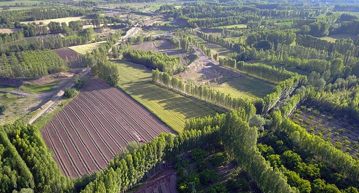 2B arazilerine başvuru için son 3 gün