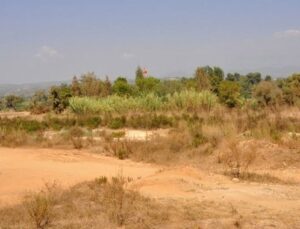 Üniversite kuracağız vaadiyle 11 milyon liralık dolandırıcılık