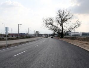 Asırlık çınar ağacı için güzergah değişti