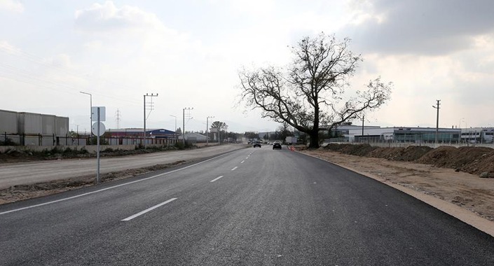 Asırlık çınar ağacı için güzergah değişti