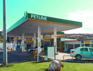 Petline 7 ilde akaryakıt istasyonu satacak