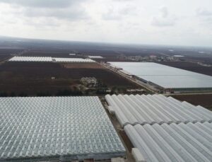 Şanlıurfa’ya 100 milyon dolarlık sera yatırımı