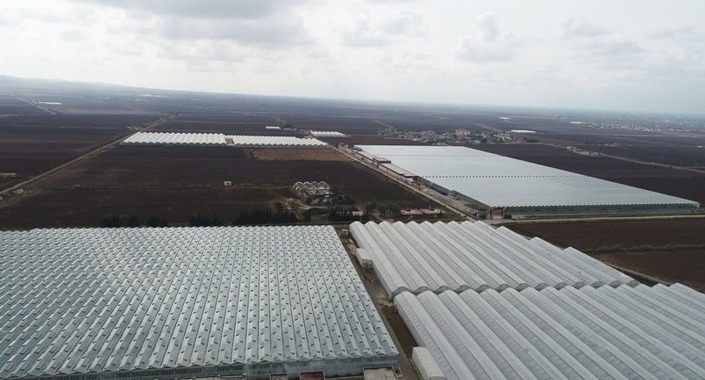 Şanlıurfa’ya 100 milyon dolarlık sera yatırımı