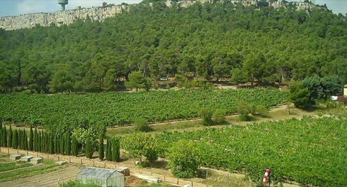 Atatürk Orman Çiftliği’nde 957 dönüm kiraya verilecek