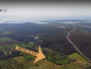 Ege-Koop’tan Çeşmelilere organik ve ahşap proje