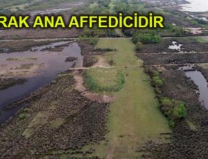 Yıkılan kaçak villa alanları kuşların yuvası oldu
