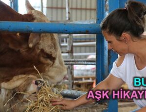Kadın girişimci Filiz Uyar inşaatçıydı, çiftlik kurdu