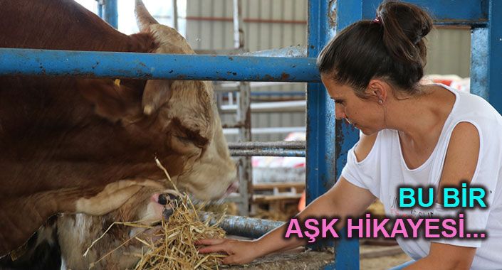 Kadın girişimci Filiz Uyar inşaatçıydı, çiftlik kurdu