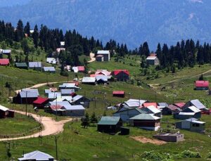 Beş yılda 1 milyar 170 milyon metrekarelik arazi satıldı