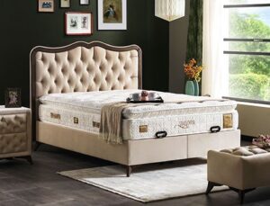 Armis’ten Valora Plus Koleksiyonu