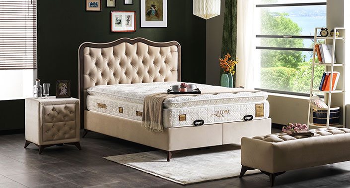 Armis’ten Valora Plus Koleksiyonu